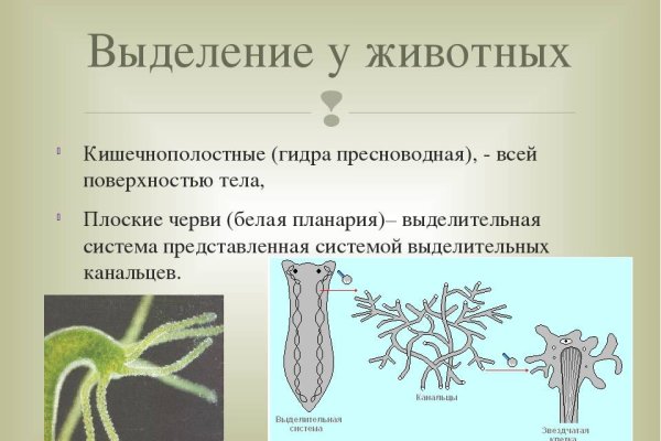 Как восстановить аккаунт в кракен