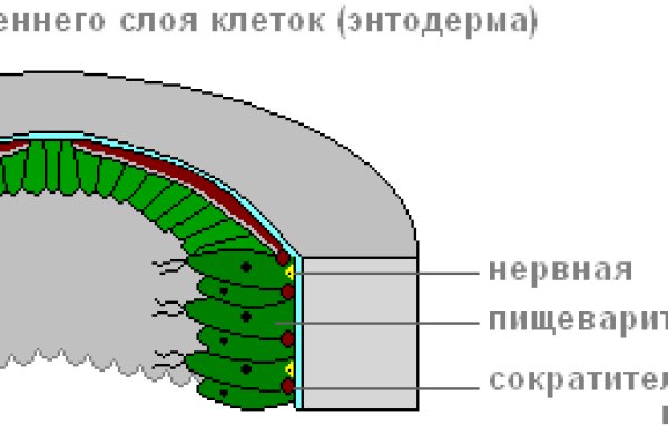 Kraken 15 at сайт
