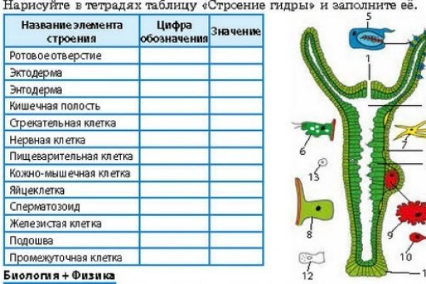 Кракен через тор