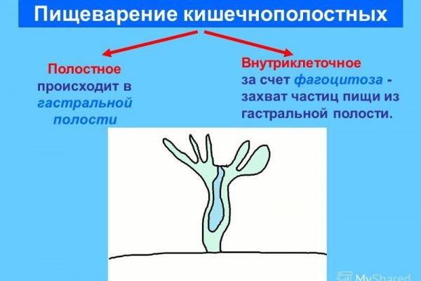 Как восстановить доступ к кракену