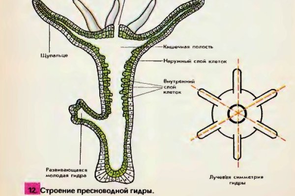 Как восстановить доступ к кракену